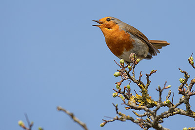 Bild: #424104746 von scott – Adobe Stock